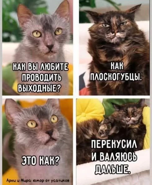 Фото