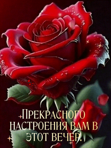 ❤️Дарим эмоции по МАКСимуму✨