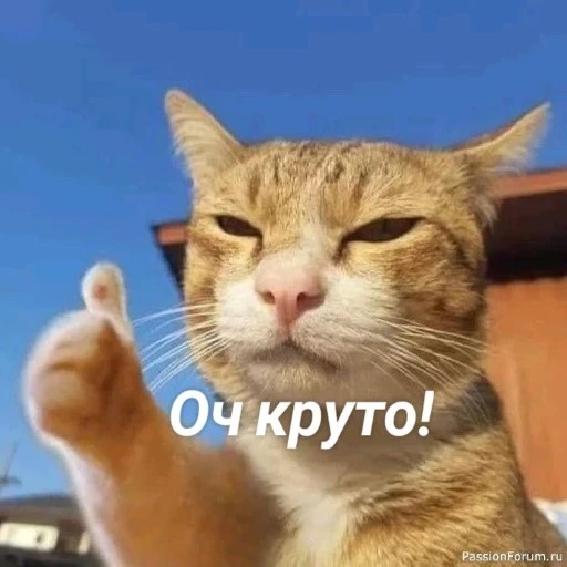 Комментарии 