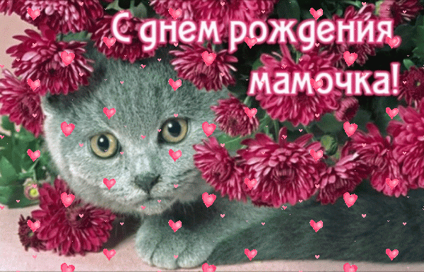 Список качественных каналов в МАКС | Смотреть ❤️