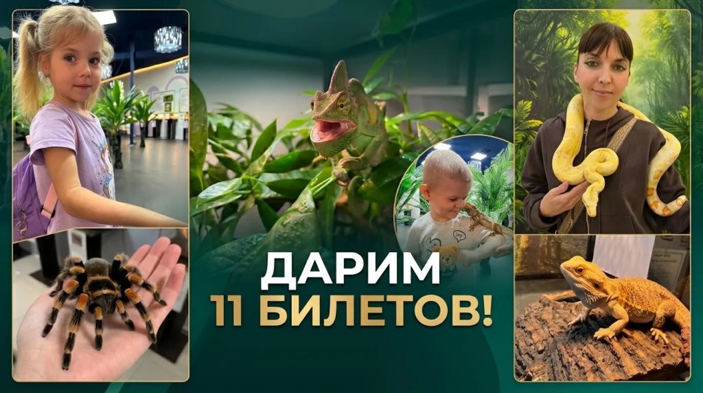 Фото