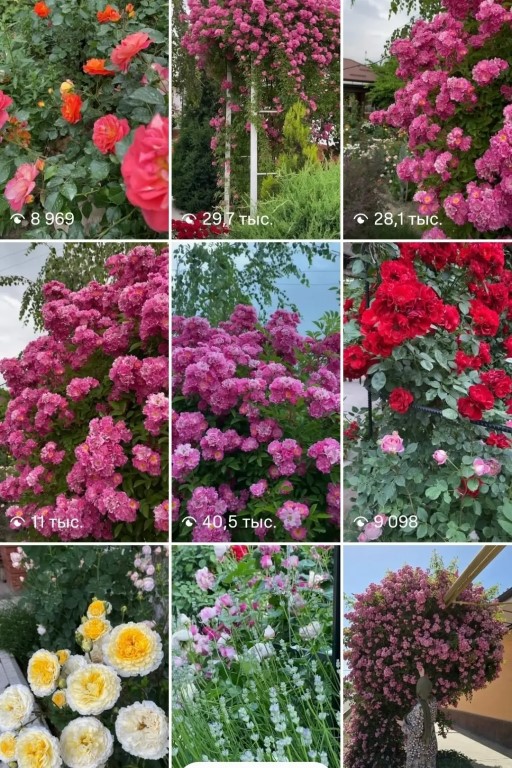 Фото