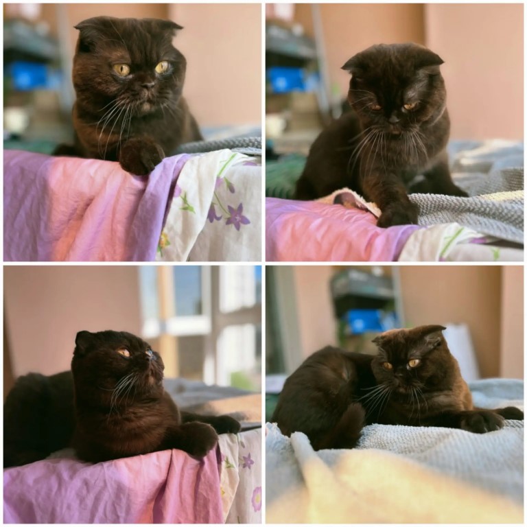 Фото
