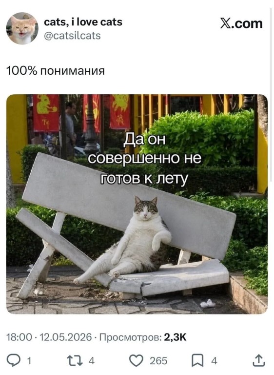 Фото