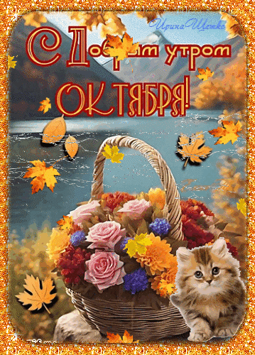 Подписаться