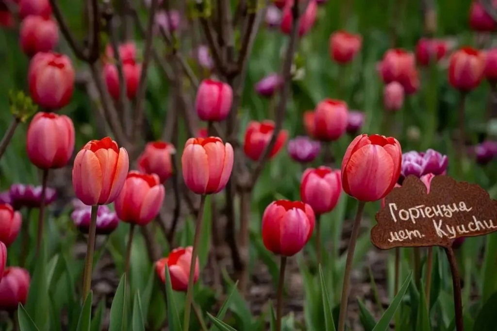 Фото