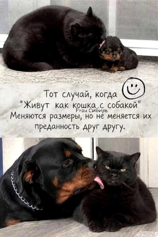 Фото
