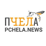 ПЧЕЛА | Новости Челябинска