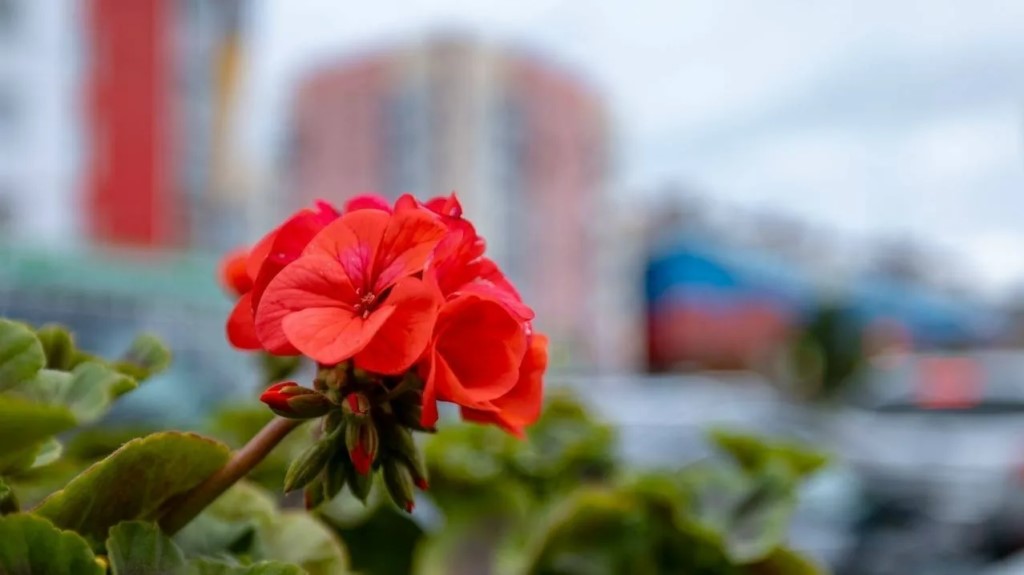 Фото
