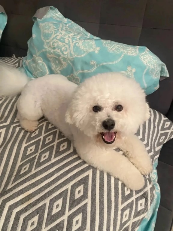 Фото