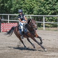 РГБУ ДО "СШ по конному спорту"