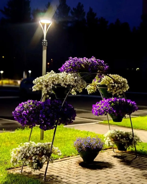 Фото