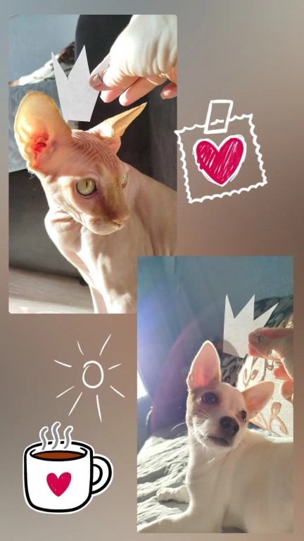 Фото