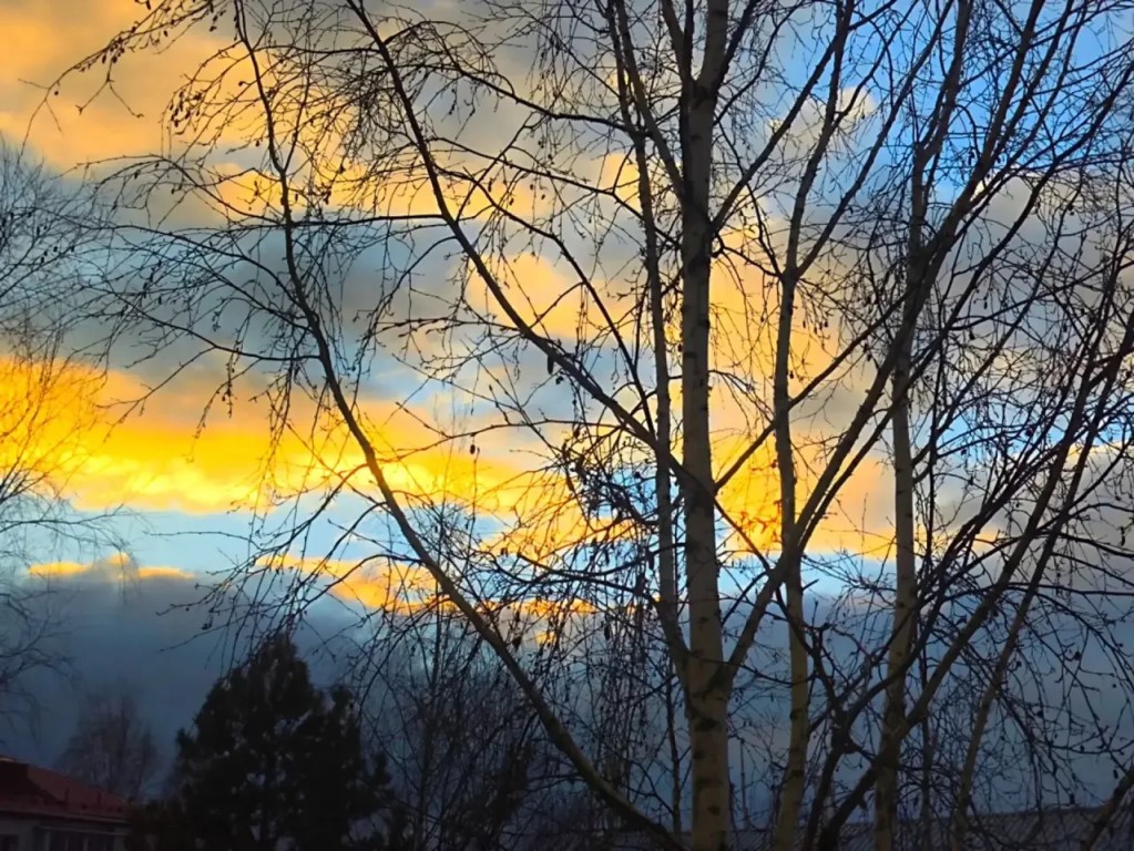 Фото