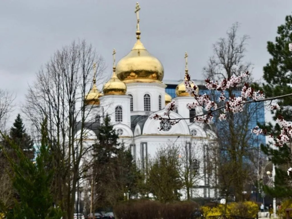 Фото