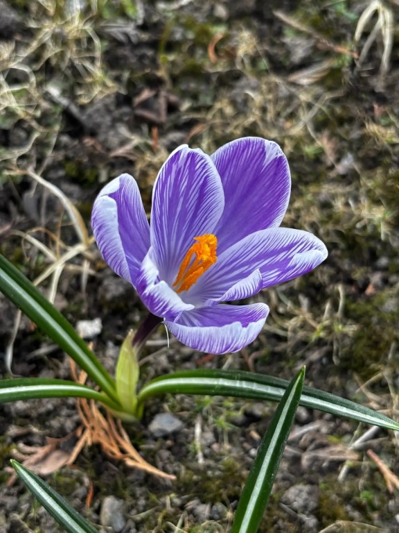 Фото