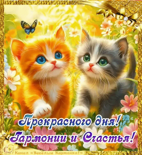 Канал Весёлые картинки!