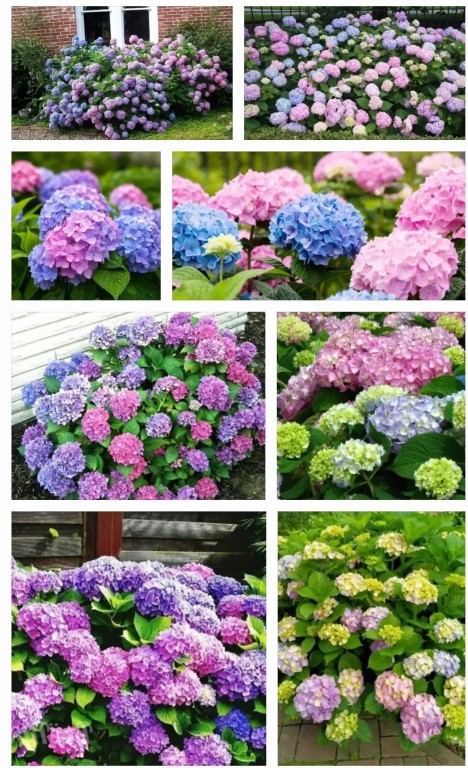 Фото