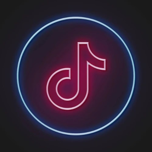 Скачать видео из Тикток и Ютуб