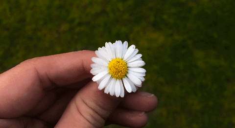 Люди добрые, да что ж это творится — позади уже первая декада лета! И это отличная точка, чтобы зафи