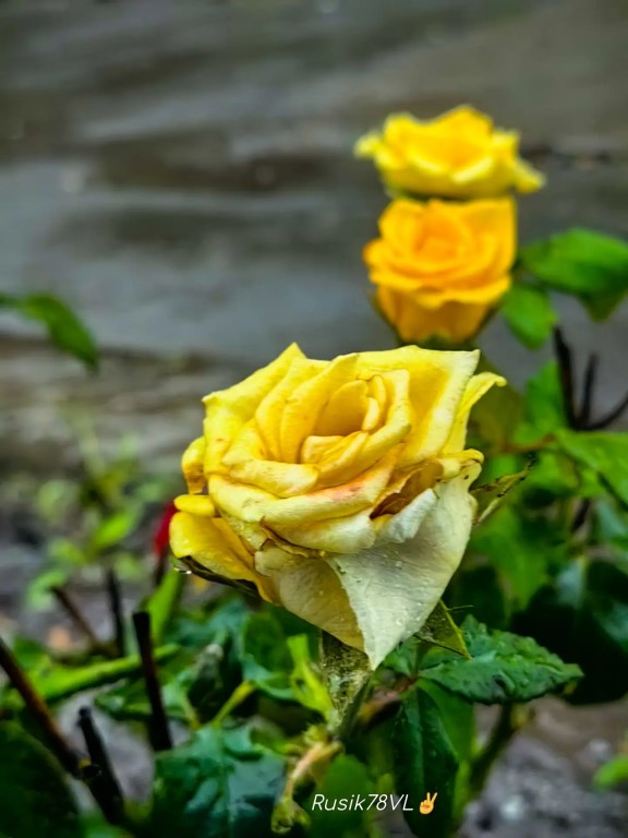 Фото