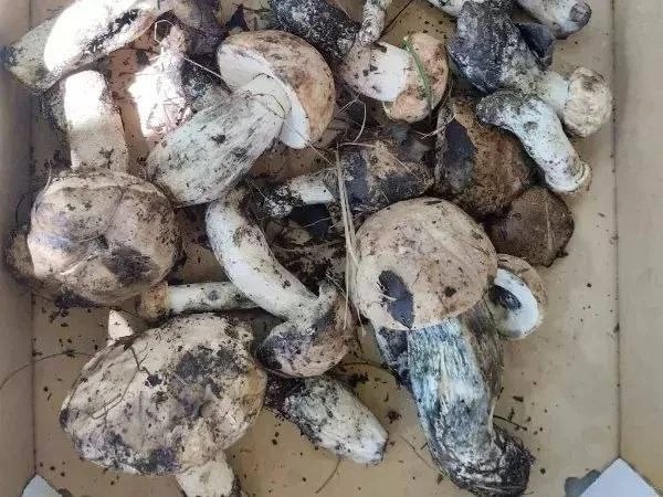 Фото