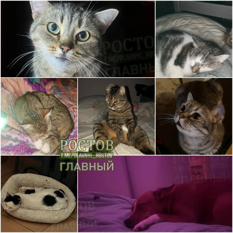 Фото