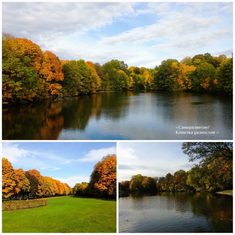 Фото