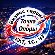 Бизнес-Сервис «Точка Опоры» — ККТ • 1С • Честный Знак • ЕГАИС | Красноярский край