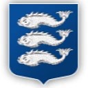 Чат-бот МО Васильевский