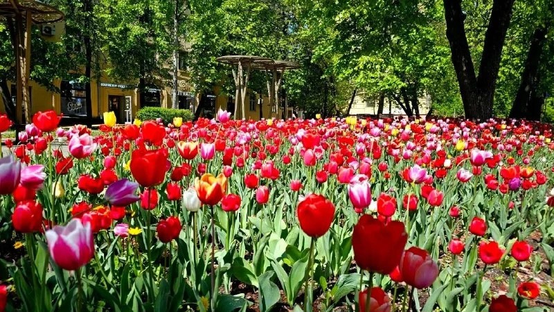 Фото