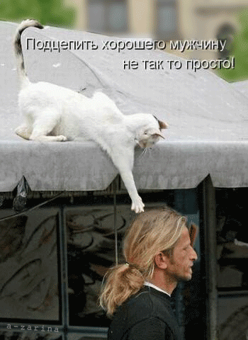 Смешно?😃 Жми лайк, пока не забыл. А подписка — чтобы не потерять того, кто поднимает тебе настроени
