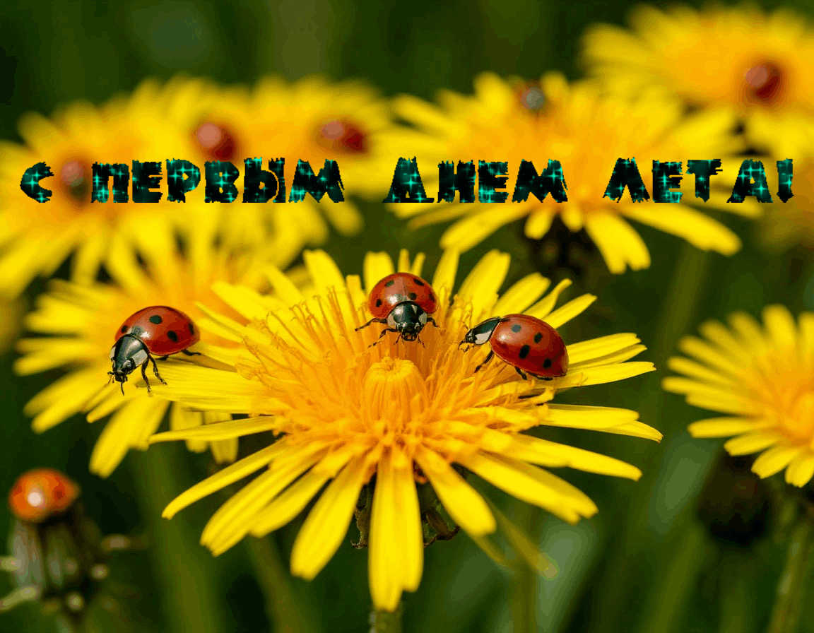 🌞Вот и долгожданное лето наступило! ☀️