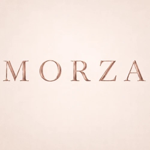 MORZA — канал в мессенджере MAX