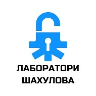 ИТ - агенство Лаборатория Шахулова