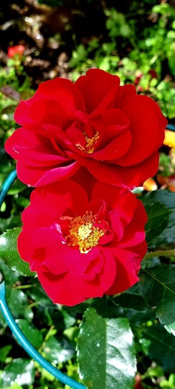 Фото