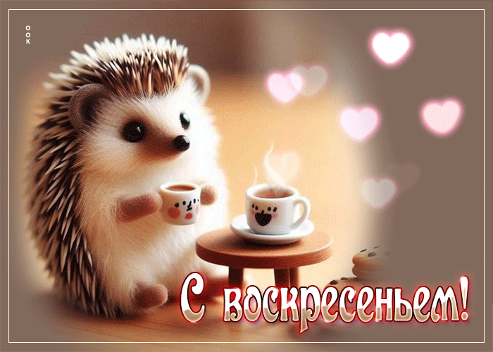 Доброе утро!☕️