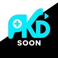PKD Studio — Яндекс Игры