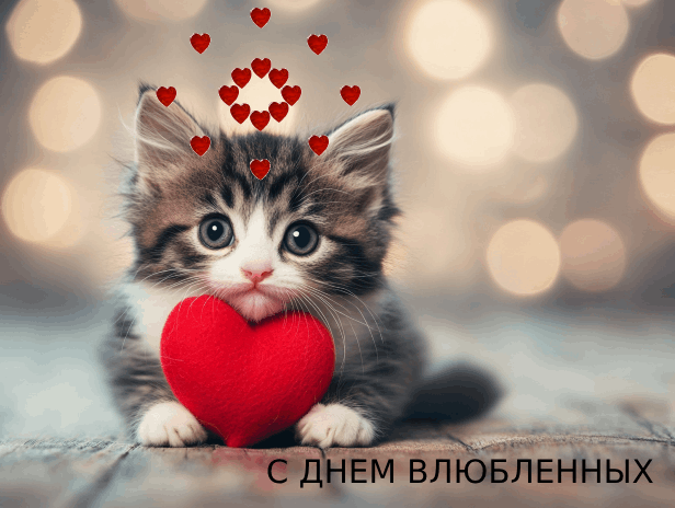 💌 14 февраля: День, когда так легко сказать о важном