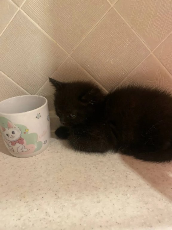 Фото