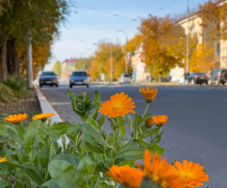 Фото