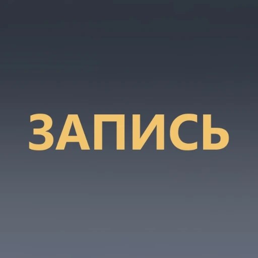 ip_bez_paniki_bot — канал в мессенджере MAX