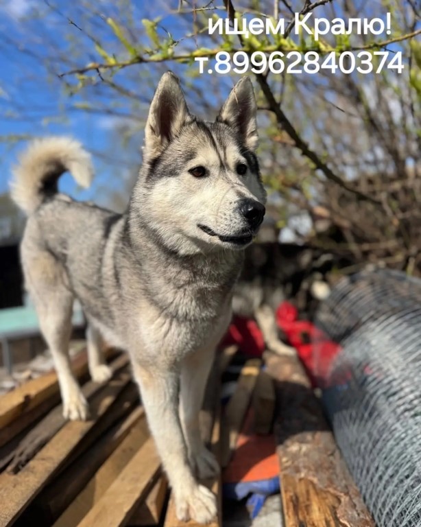 Фото