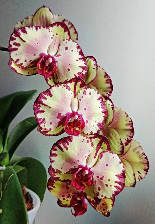 Фото