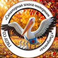 ГБОУ СО "Санаторная школа-интернат г.Петровска"