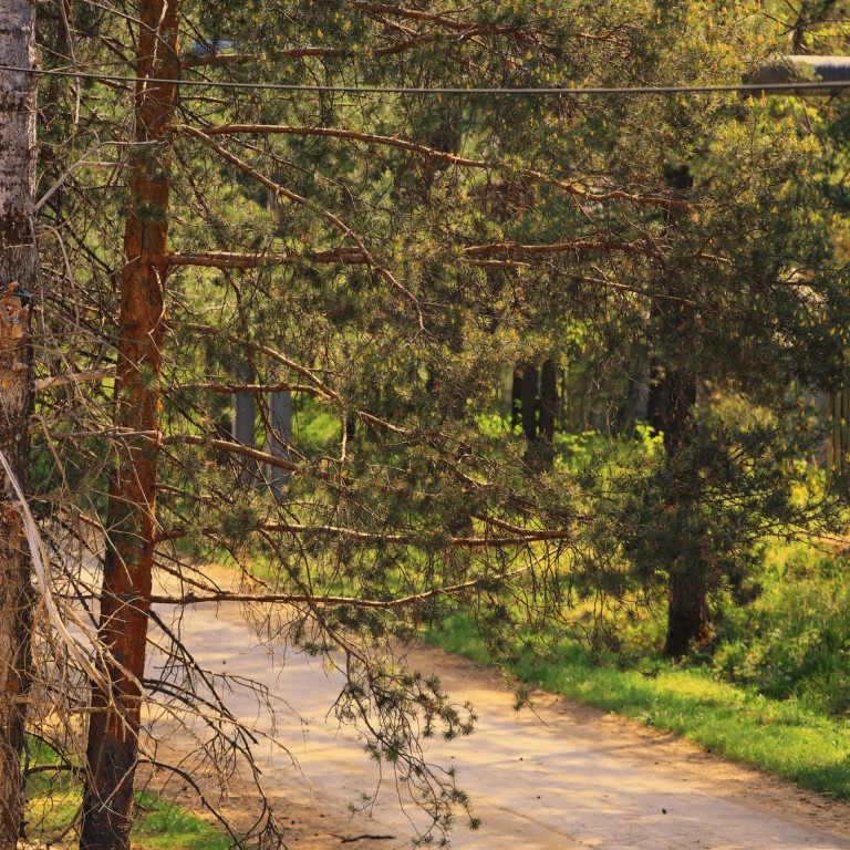 Фото