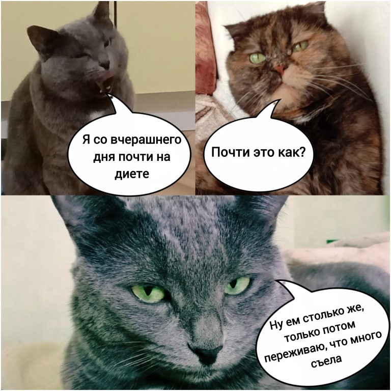 Фото