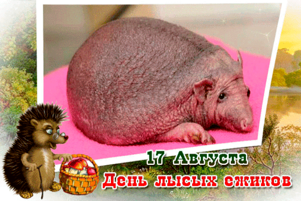 ℰӁℰ - ՈǷᎯՅДℋИҠ                                                                         ...