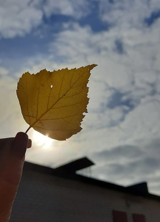 Фото