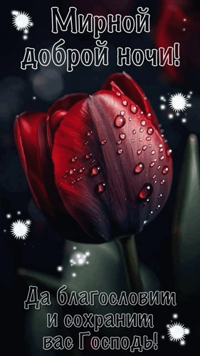 Доброй ночи!♥️